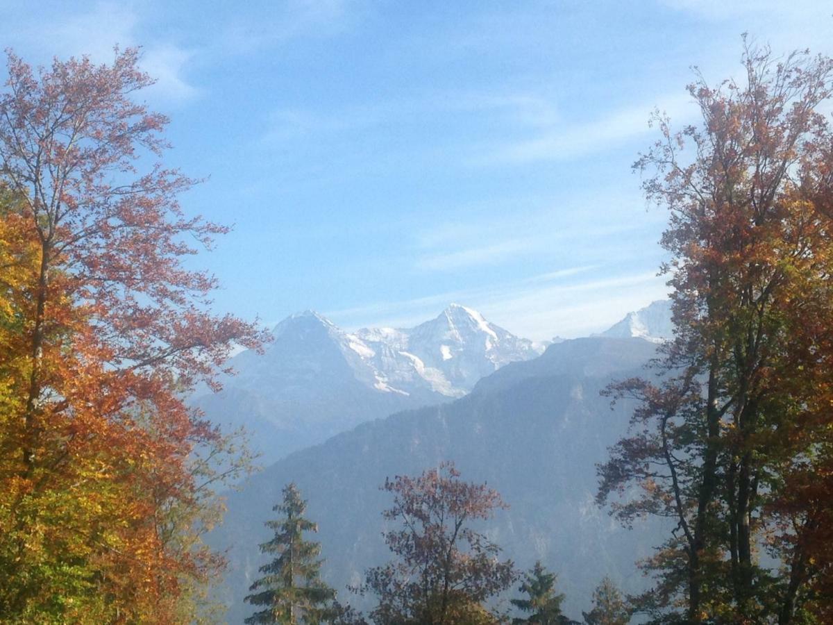 App. Seeblick Top Of Interlaken Беатенберг Екстериор снимка