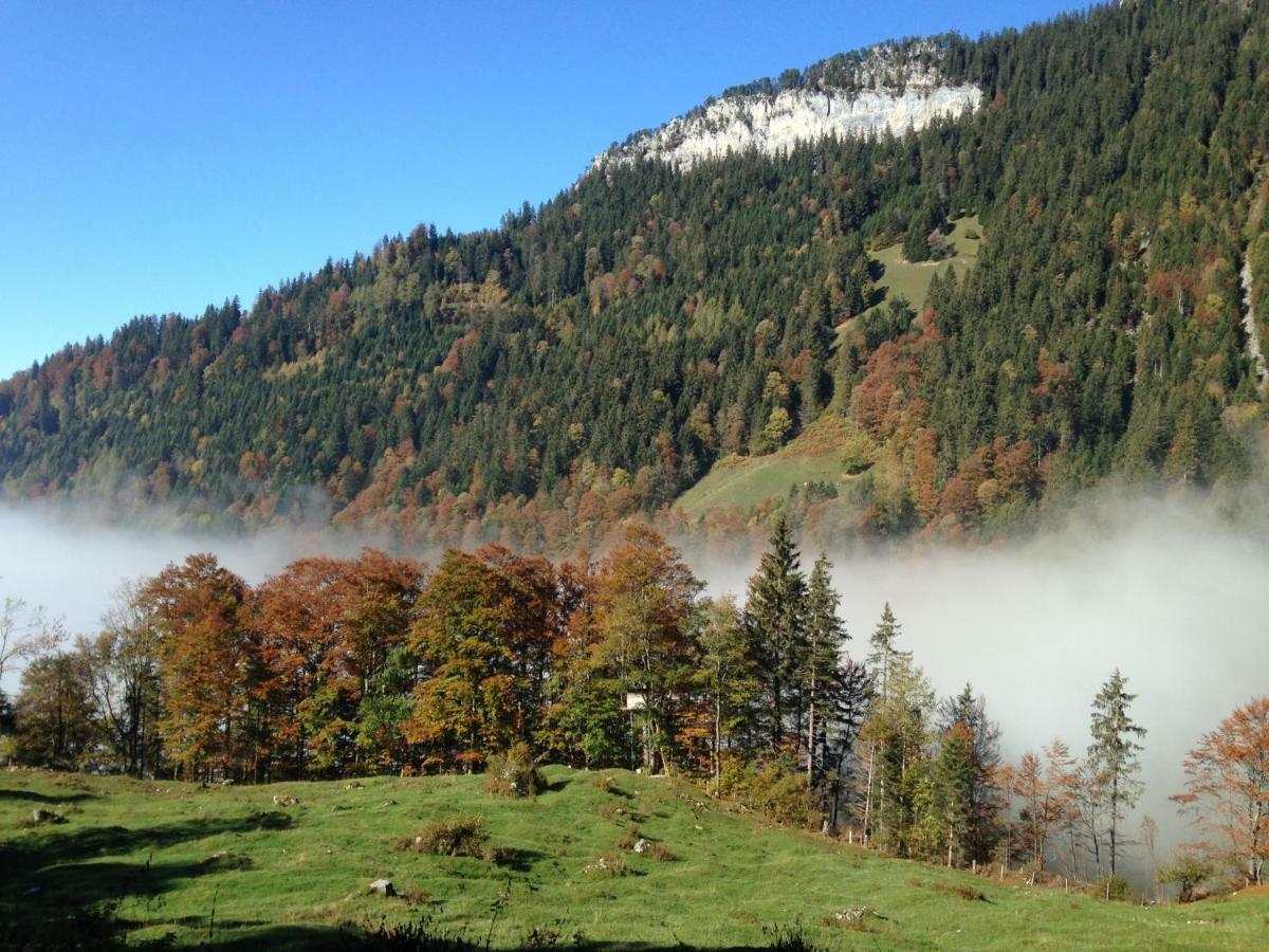 App. Seeblick Top Of Interlaken Беатенберг Екстериор снимка