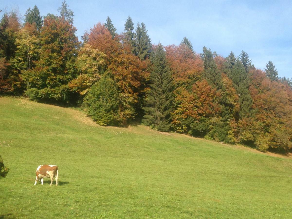 App. Seeblick Top Of Interlaken Беатенберг Екстериор снимка