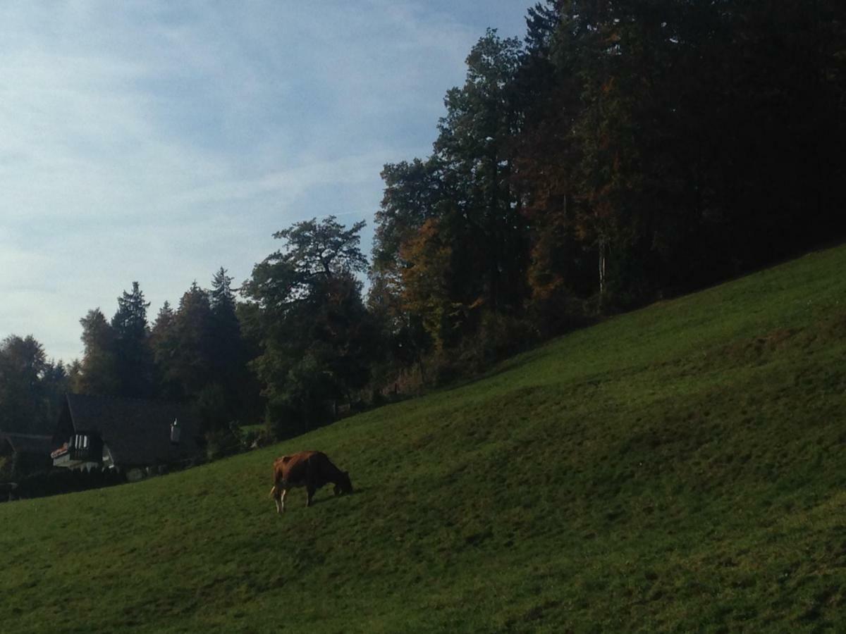 App. Seeblick Top Of Interlaken Беатенберг Екстериор снимка